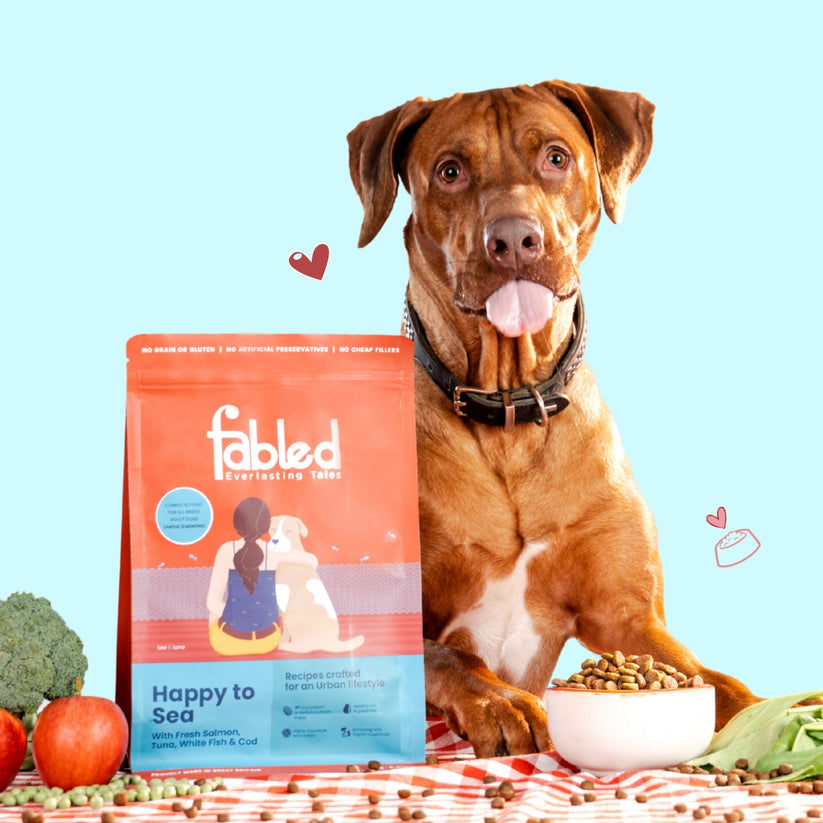 Fabled Happy to Sea Fresh Salmon Tuna White Fish and Cod Adult Dog Dry Food