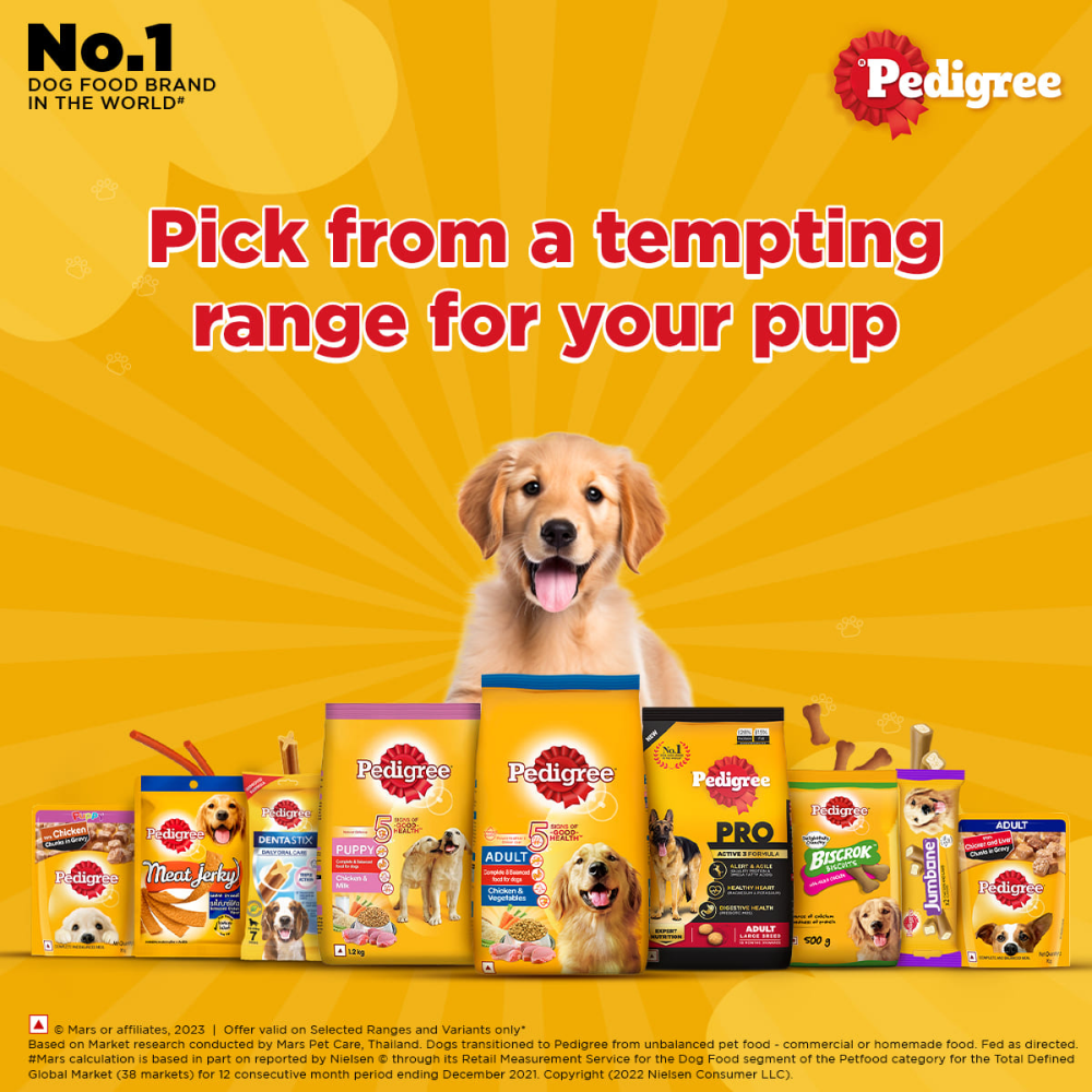 Pedigree Chicken and Milk Puppy Dry Food