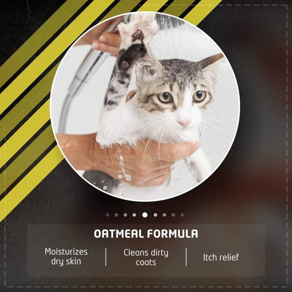 Wahl Shampoo for cats (Oatmeal)