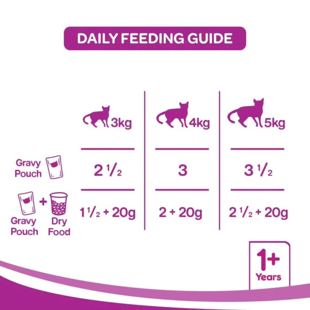Whiskas Ocean Fish Adult Cat Wet Food