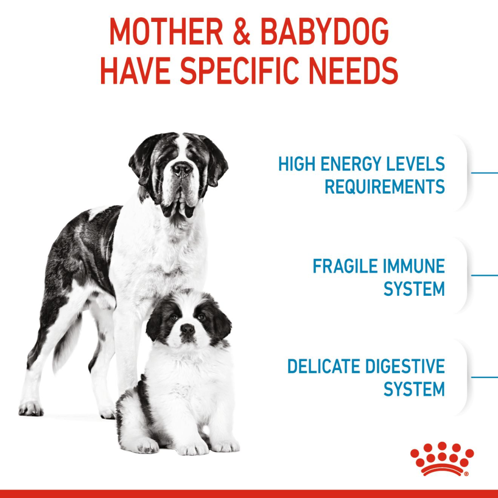 Royal Canin Giant Breed Dog and Puppies Starter Dry Food