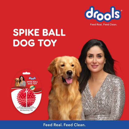 Drools Non Toxic Rubber Stud Spike Hard Ball Chew Teething Toy for Puppies and Dogs