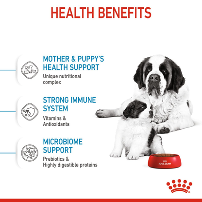 Royal Canin Giant Breed Dog and Puppies Starter Dry Food