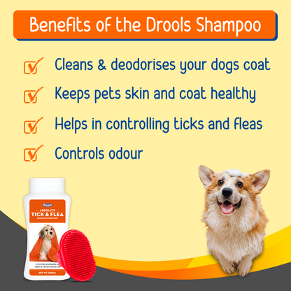 Drools Tick and Flea Repellent Shampoo for Dogs (Free Hand Brush)