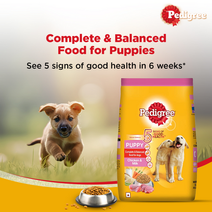 Pedigree Chicken and Milk Puppy Dry Food