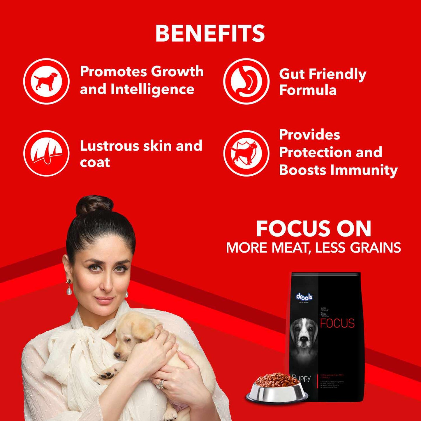 Drools Focus Super Premium Puppy Dry Food