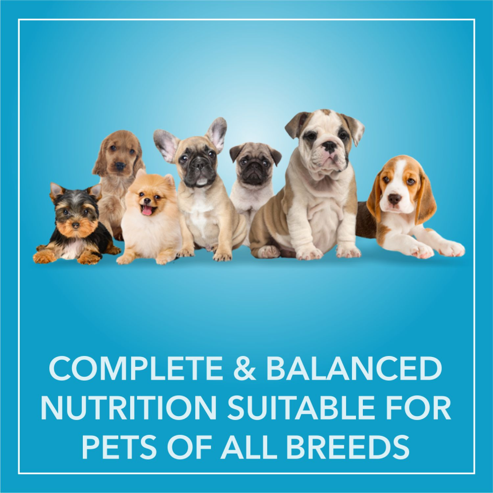 Purepet Chicken & Vegetable Puppy Dry Food