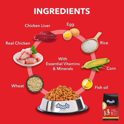 Drools Chick & Egg Puppy 5KG + Container Free