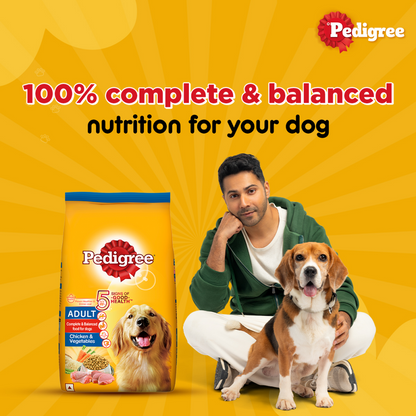 Pedigree Chicken and Vegetables Adult Dry Dog Food