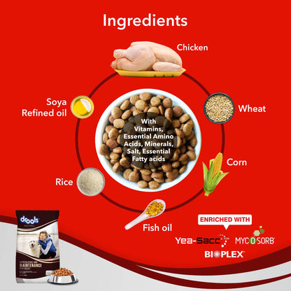 Drools Maintenance Chicken Flavor Adult Dog Dry Food