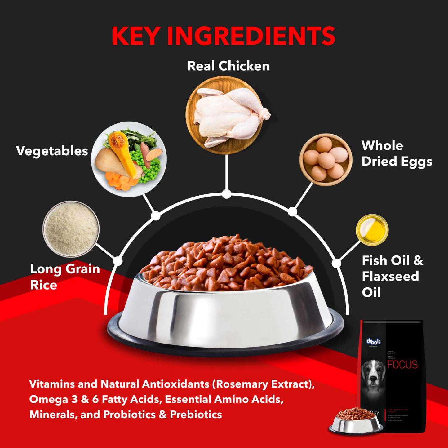 Drools Focus Super Premium Puppy Dry Food