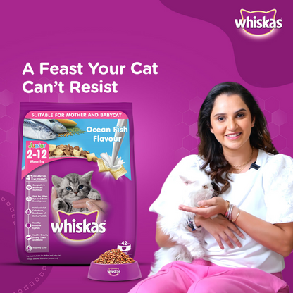 Whiskas Ocean Fish Kitten/Mother and Baby Cat Dry Food