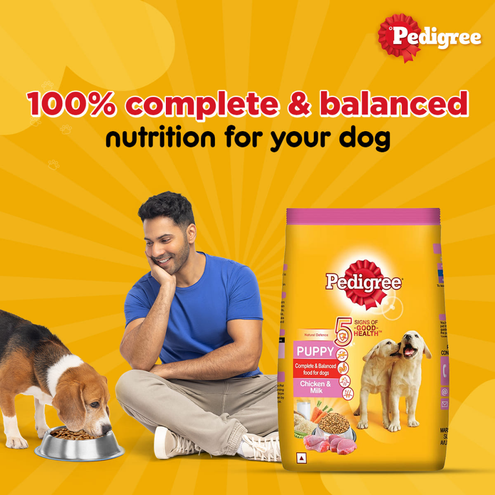 Pedigree Chicken and Milk Puppy Dry Food