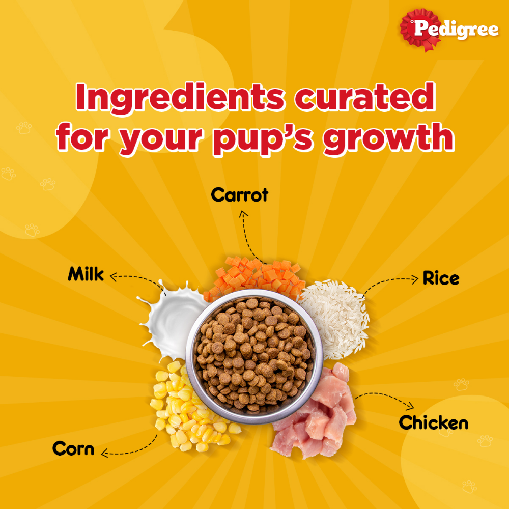 Pedigree Chicken and Milk Puppy Dry Food