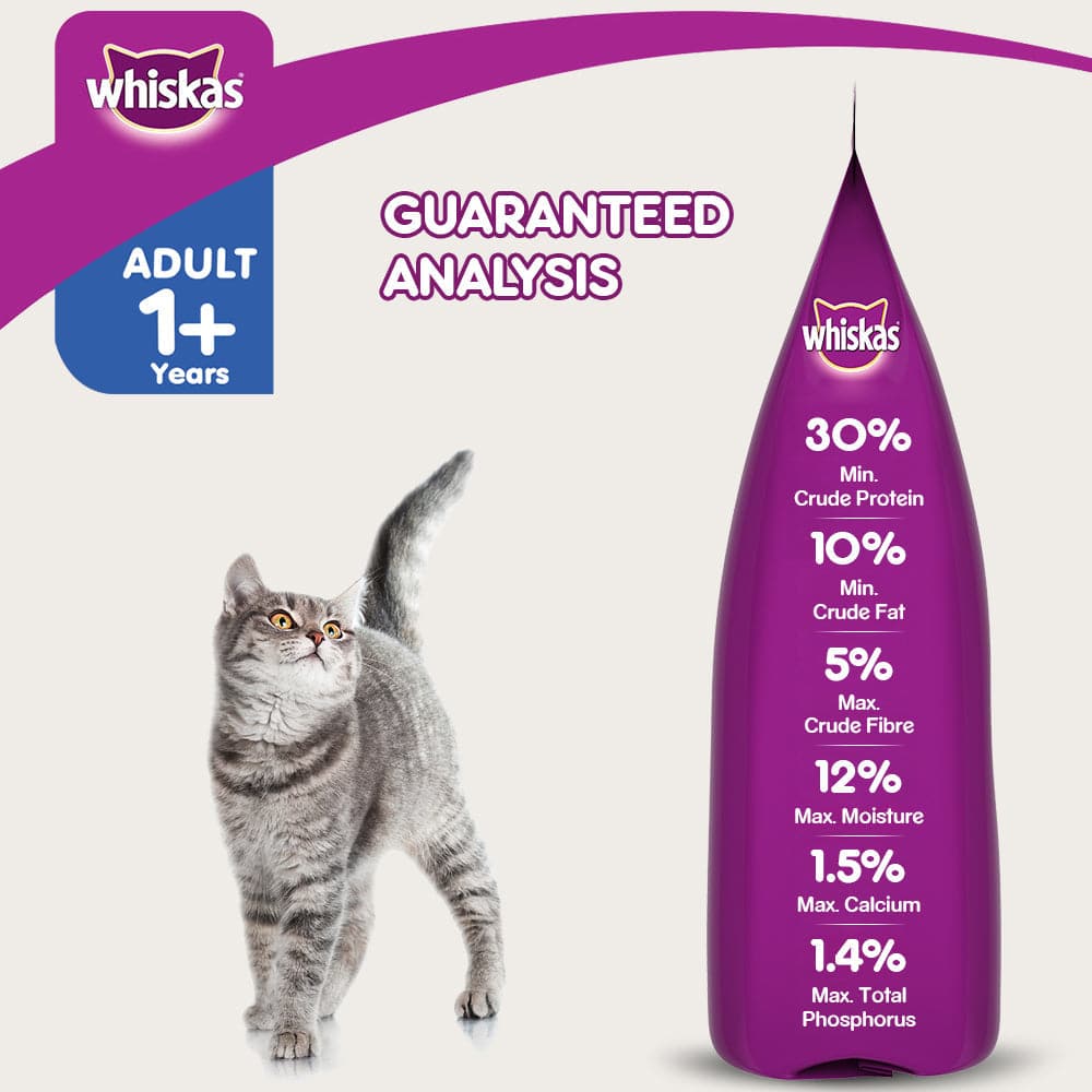 Whiskas Skin & Coat Chicken & Salmon Adult (1+ Years) Cat Dry Food