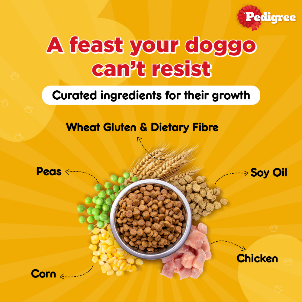 Pedigree Chicken and Vegetables Adult Dry Dog Food