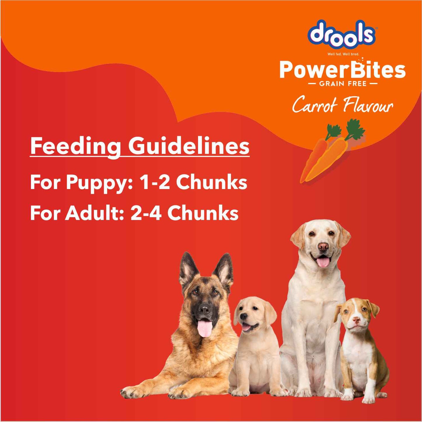 Drools Power Bites Carrot Flavour Dog Treats