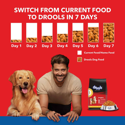 Drools Chicken and Egg Puppy Dry Food and Absolute Calcium Bone Jar for Dogs Combo