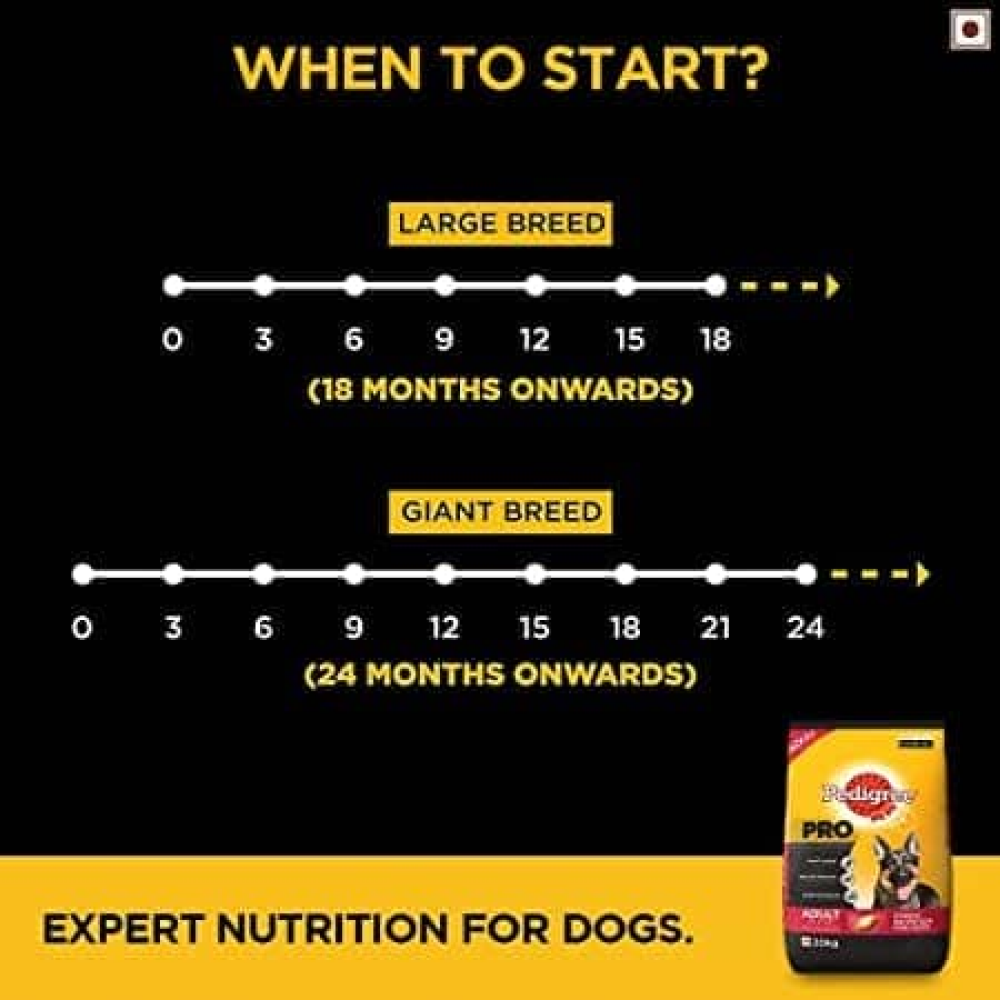 Pedigree PRO Expert Nutrition Active Large Breed Dry and Chicken and Liver Chunks in Gravy Adult Wet Dog Food Combo