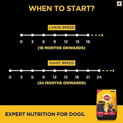 Pedigree PRO Expert Nutrition Active Large Breed Dry and Chicken and Liver Chunks in Gravy Adult Wet Dog Food Combo