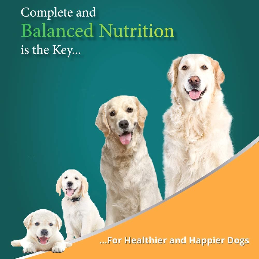 Himalaya Chicken & Rice Healthy Pet Puppy Dry Food
