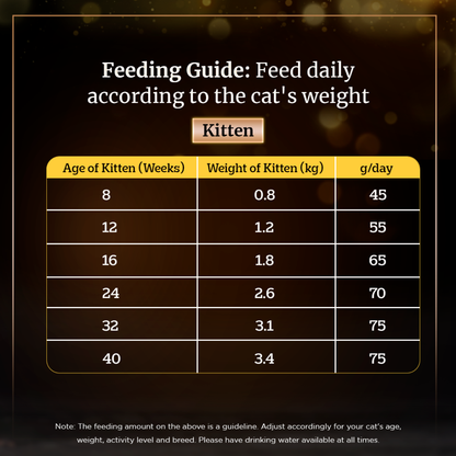 Sheba Fish with Sasami Premium Cat Wet Food and Sheba Chicken Flavour Irresistible All Life Stage Cat Dry Food Combo