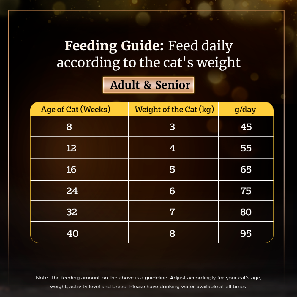 Sheba Fish with Sasami Premium Cat Wet Food and Sheba Chicken Flavour Irresistible All Life Stage Cat Dry Food Combo