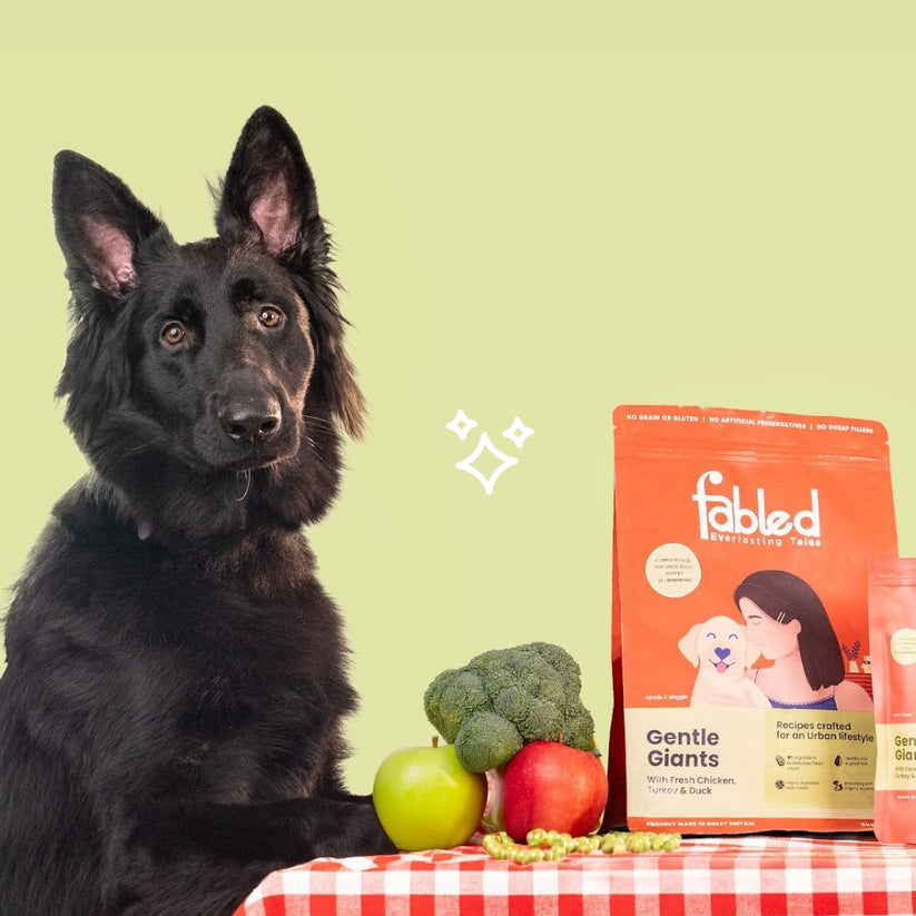 Fabled Gentle Giants Fresh Chicken Turkey & Duck Large Breed Puppy Dry Food