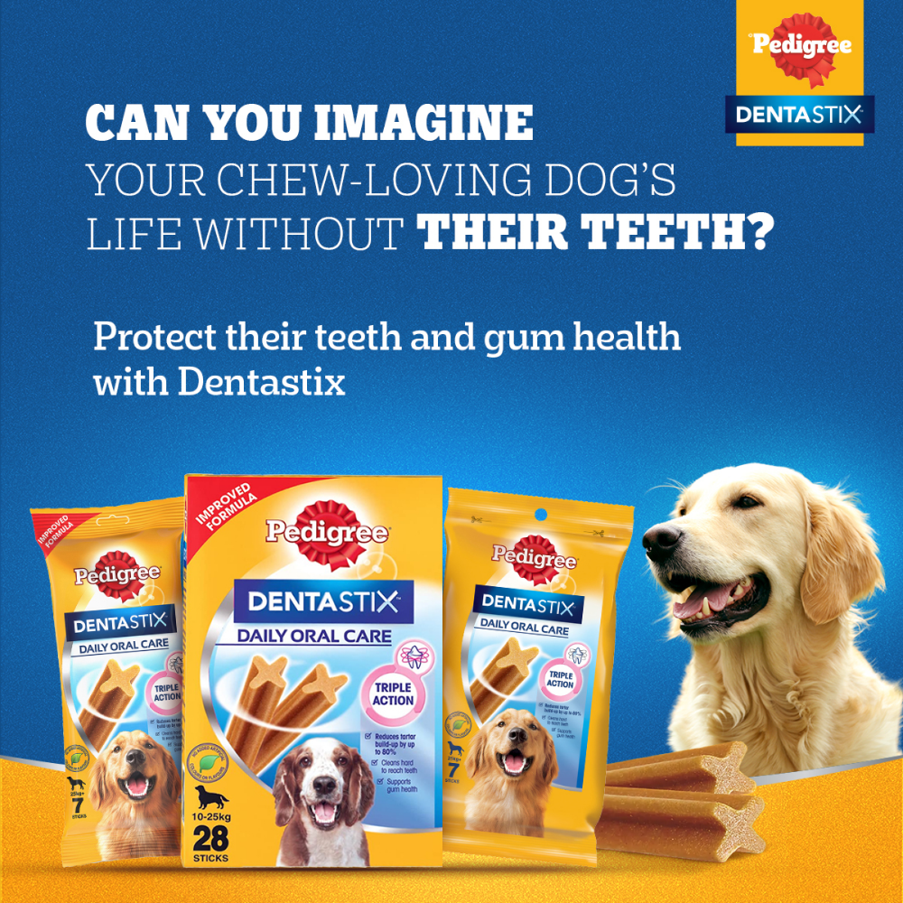 Pedigree Dentastix Oral Care for Adult (Large Breed of 25 kg+) Dog Treats