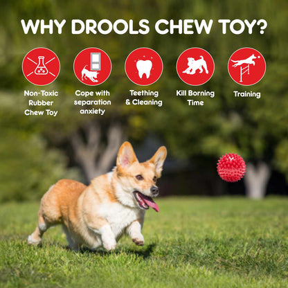 Drools Non Toxic Rubber Stud Spike Hard Ball Chew Teething Toy for Puppies and Dogs