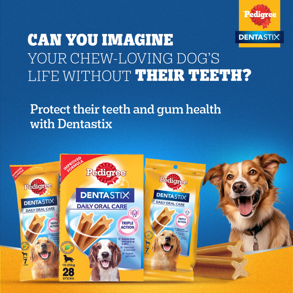 Pedigree Dentastix Oral Care for Adult (Medium Breed of 10 to 25 kg) Dog Treats