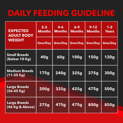 Drools Focus Super Premium Puppy Dry Food