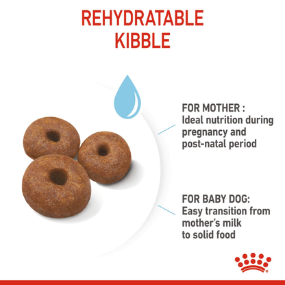 Royal Canin Giant Breed Dog and Puppies Starter Dry Food