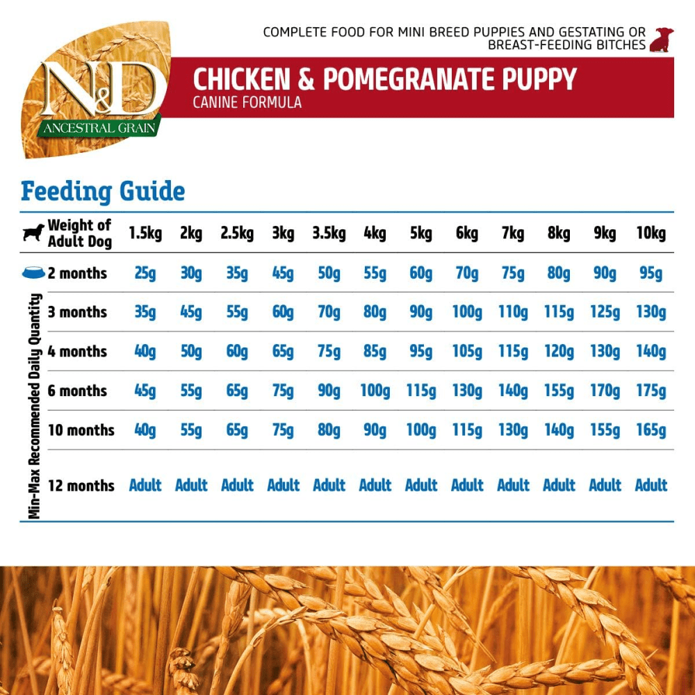 Farmina N&D Chicken & Pomegranate Ancestral Grain Adult Mini Dog Wet Food