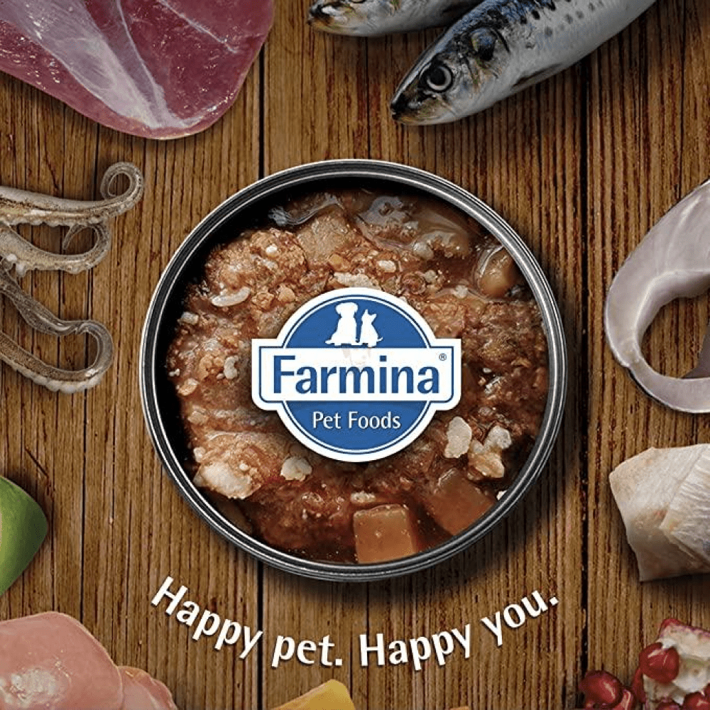 Farmina N&D Prime Pumpkin Chicken & Pomegranate Grain Free Adult Dog Wet Food