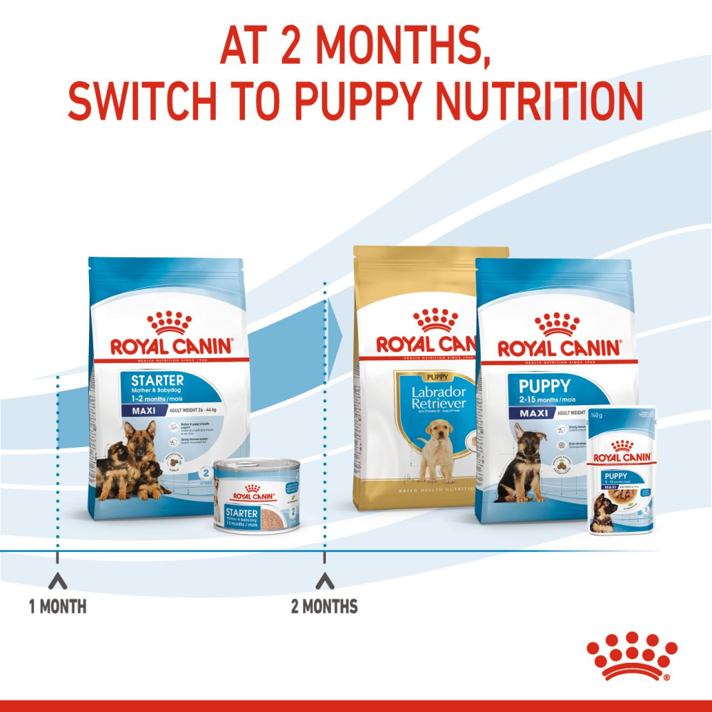 Royal Canin Maxi Starter Dry Dog Food