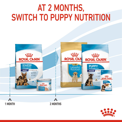 Royal Canin Maxi Starter Dry Dog Food