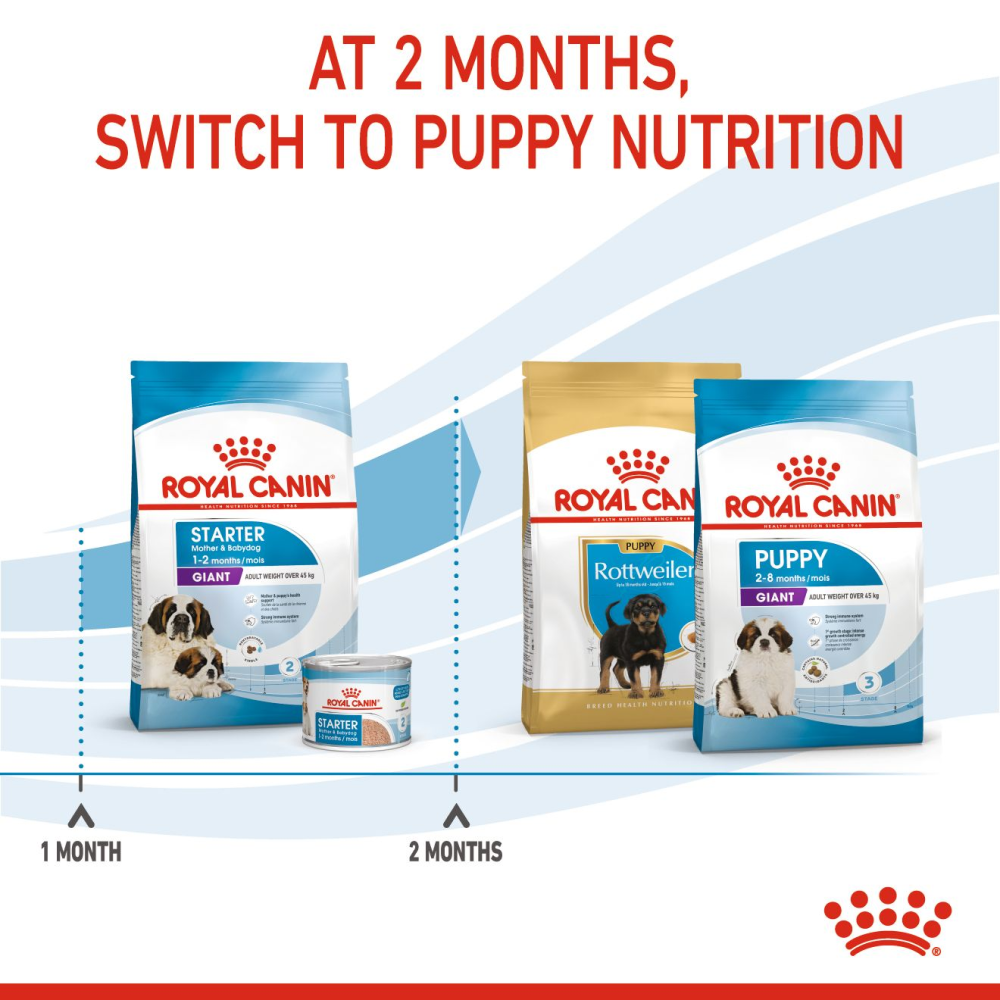 Royal Canin Giant Breed Dog and Puppies Starter Dry Food