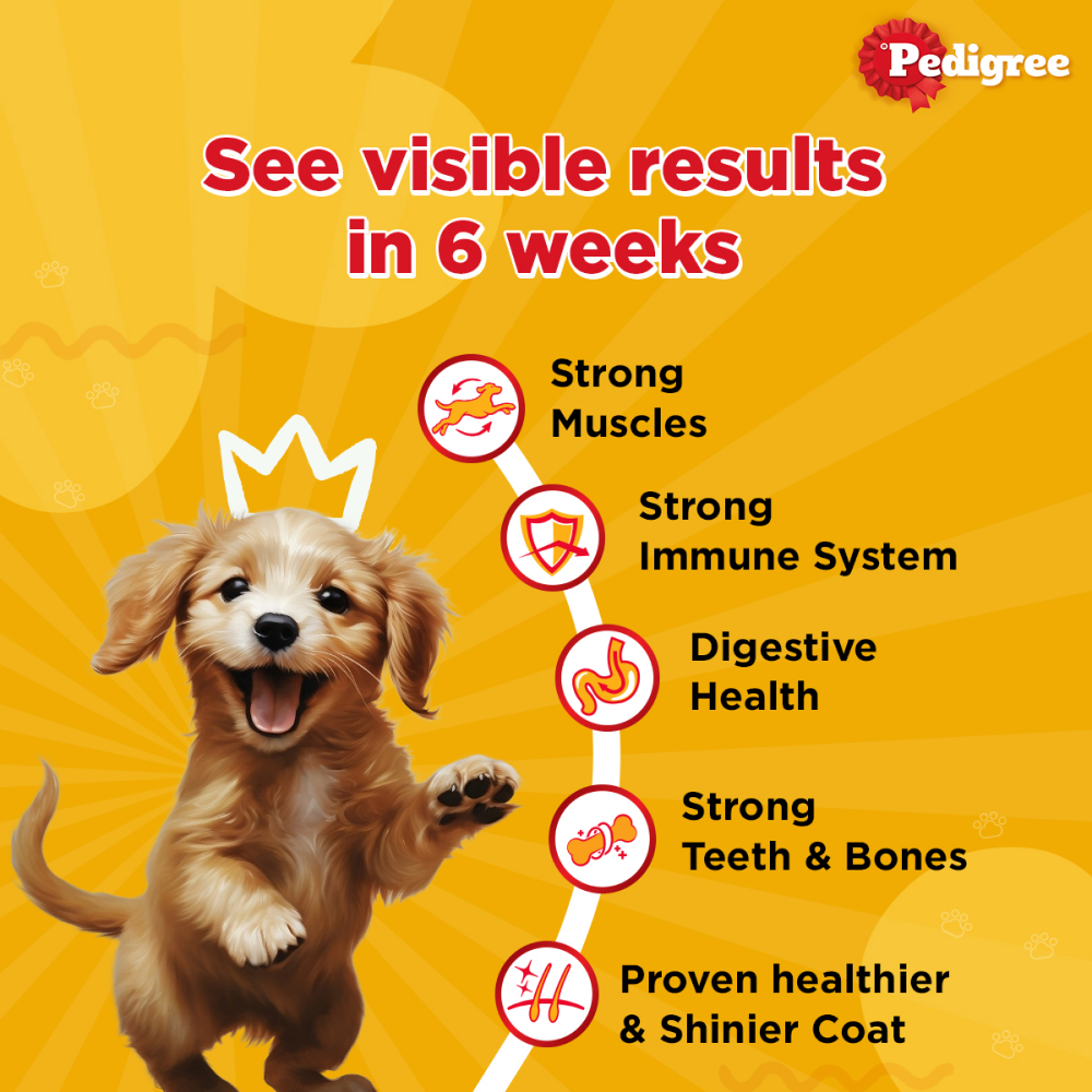 Pedigree Chicken and Milk Puppy Dry Food