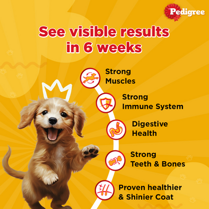 Pedigree Chicken and Milk Puppy Dry Food