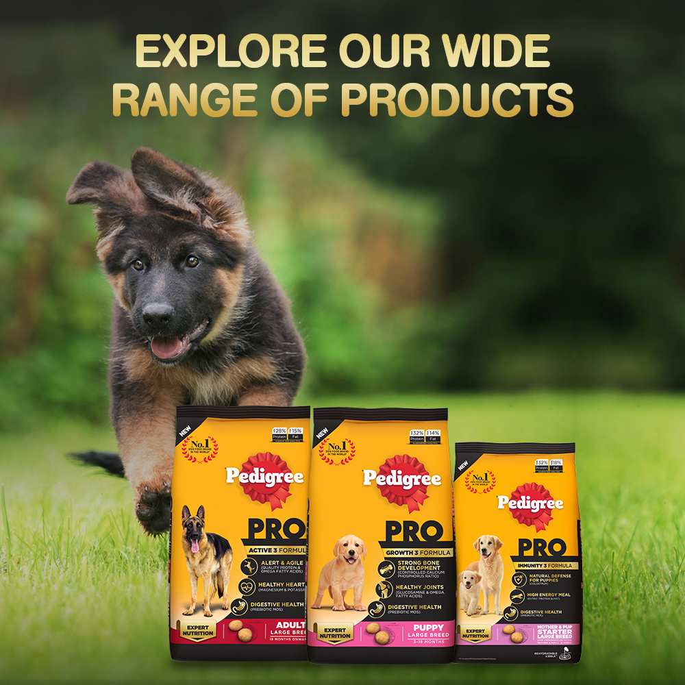 Pedigree PRO Expert Nutrition Small Breed Puppy (2 to 9 Months) Dry Food