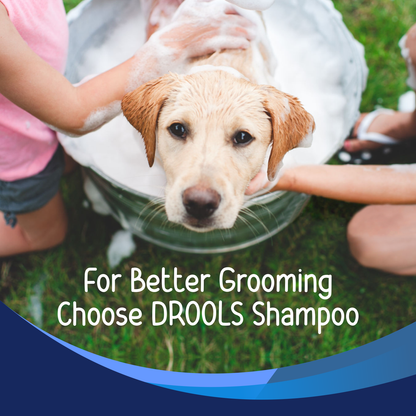 Drools Anti Dandruff and Itch Shampoo for Dogs (Free Hand Brush)