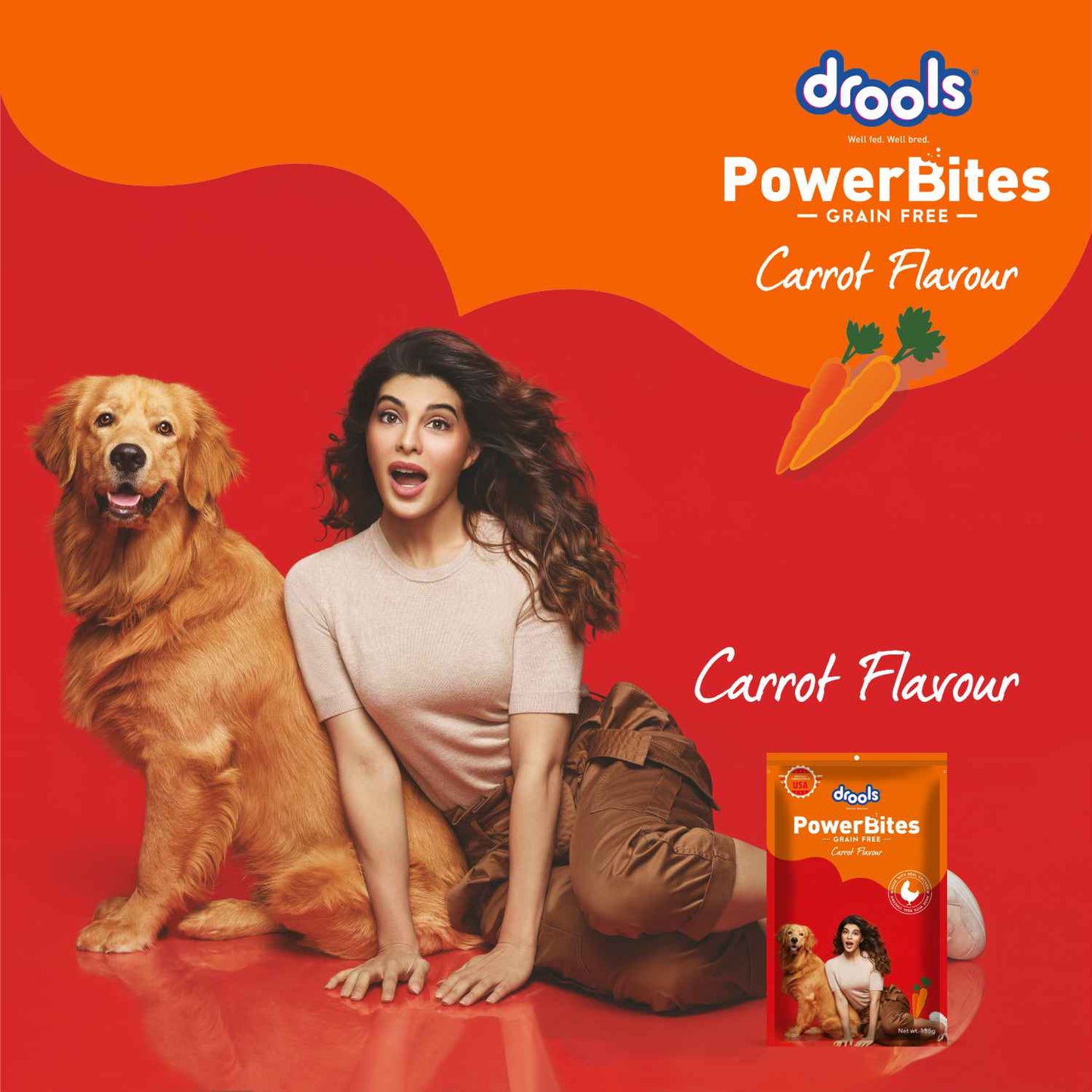 Drools Power Bites Carrot Flavour Dog Treats