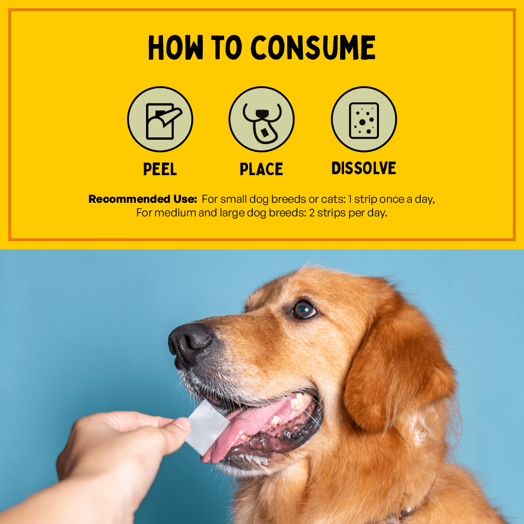 Furlicks Gut Health Supplement for Cats and Dogs