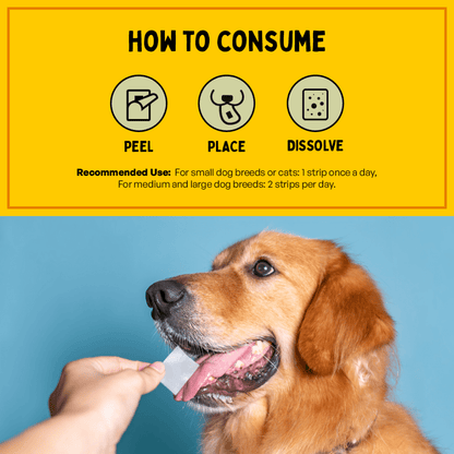 Furlicks Hip & Joint Supplement for Cats and Dogs