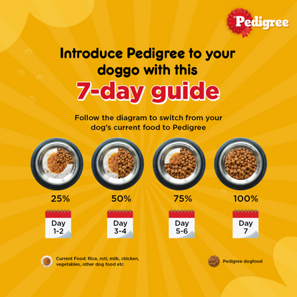 Pedigree Chicken and Vegetables Adult Dry Dog Food