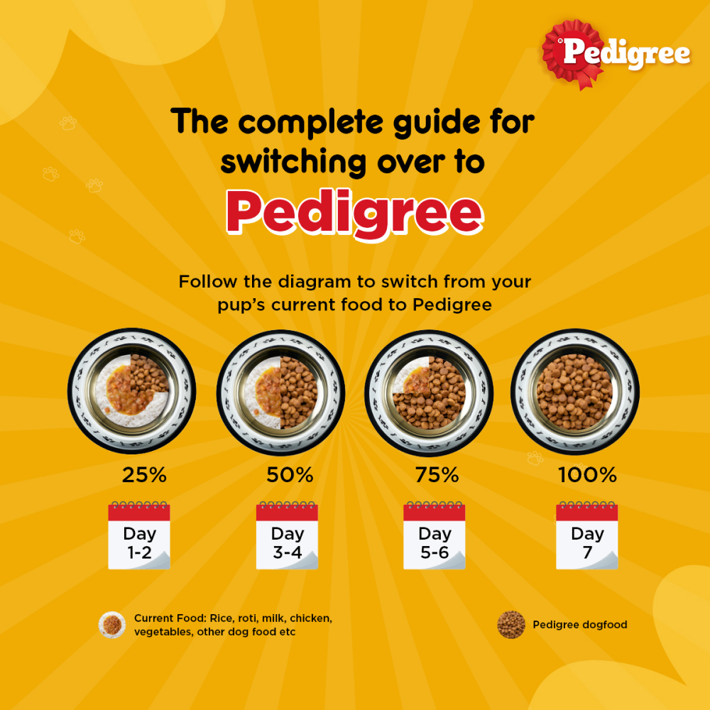 Pedigree Chicken and Milk Puppy Dry Food
