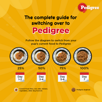 Pedigree Chicken and Milk Puppy Dry Food