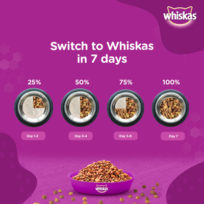 Whiskas Ocean Fish Kitten/Mother and Baby Cat Dry Food