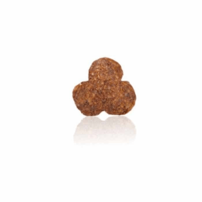 Arden Grange Ocean White Fish & Potato Sensitive Adult Dry Dog Food